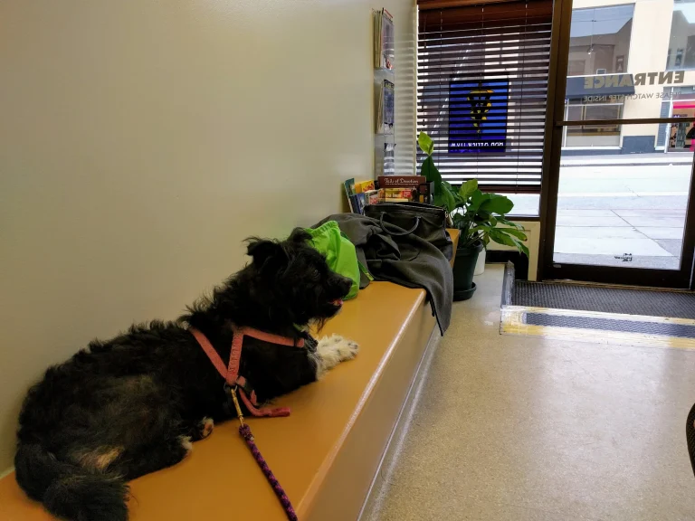 Park Animal Hospital Google Places photo