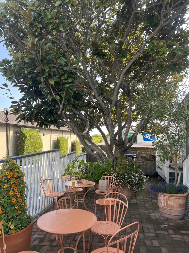 Parker Lusseau Pastries & Cafe, a dog-friendly restaurant in Monterey, California