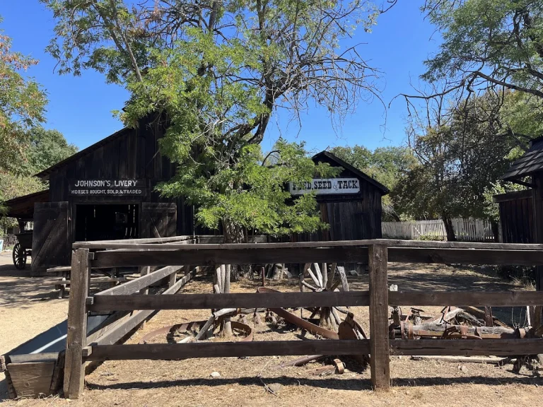 Parrott's Blacksmith Shop, a dog-friendly attraction in Columbia, California