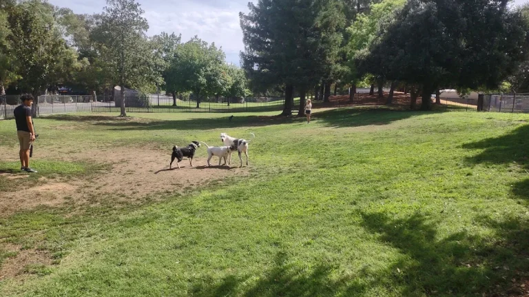 Partner Park, a dog-friendly dog park in Sacramento, California