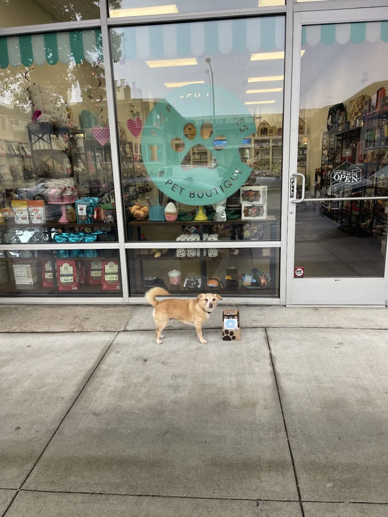 Paw Patch Pastries, a dog-friendly pet supply store in San Francisco, California