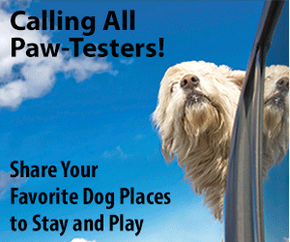 Paw Tested ad