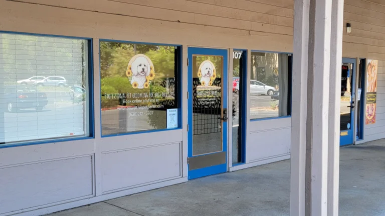 Pawsitive Groomers Google Places photo