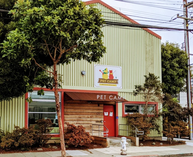 Pet Camp Google Places photo