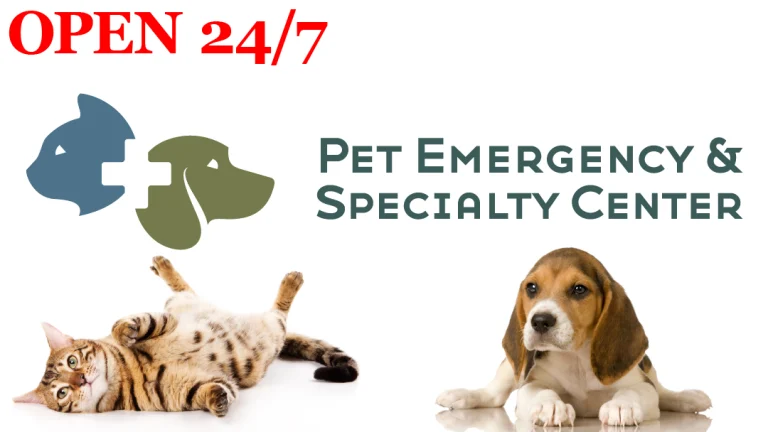Pet Emergency & Specialty, a dog-friendly veterinary clinic in La Mesa, California