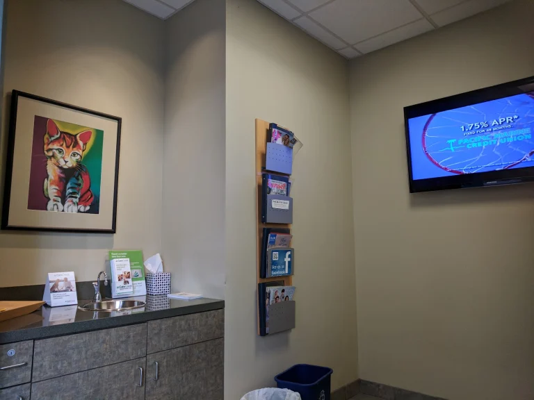 Pet Emergency & Specialty Google Places photo