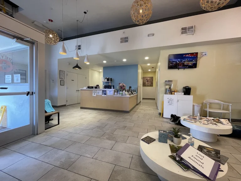 Pet Emergency Treatment, a dog-friendly veterinary clinic in Berkeley, California