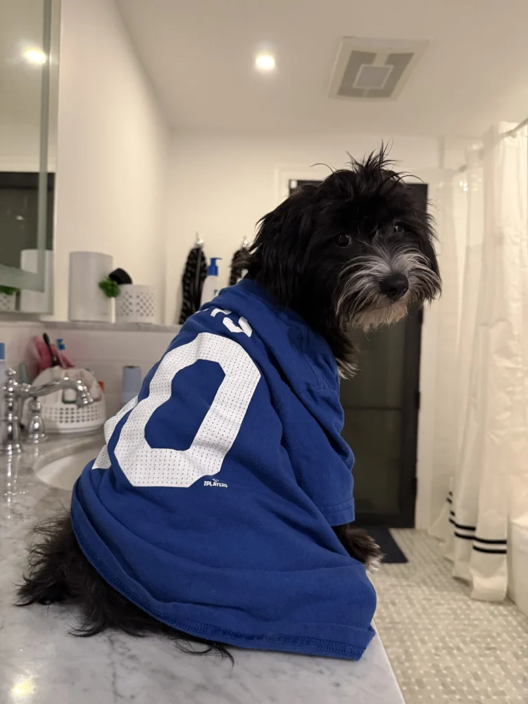 Pet Rescue Solutions, a dog-friendly animal rescue in South El Monte, California