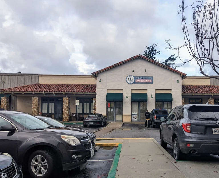Pet Specialists of Monterey, a dog-friendly campground in Monterey, California