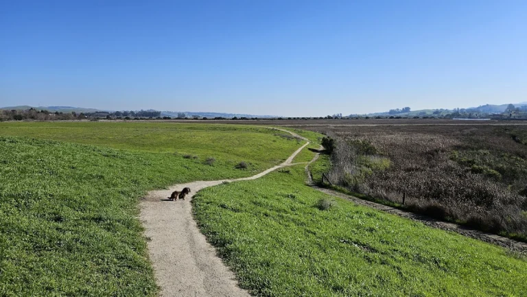 Petaluma Dog Run Areas, a dog-friendly park in Petaluma, California