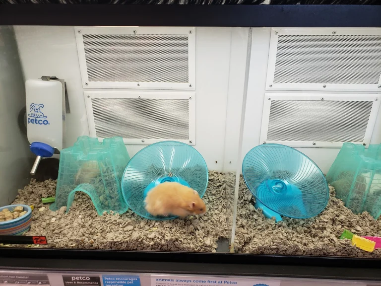 Petco – Vacaville