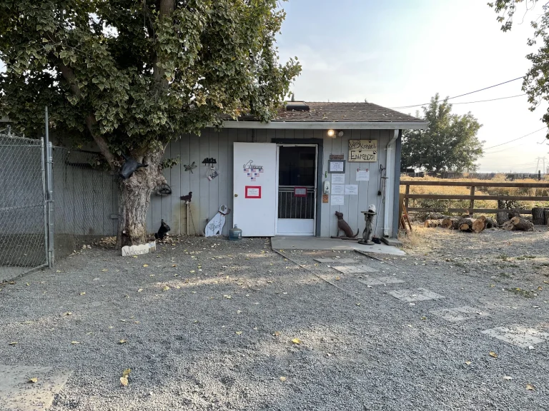 Pets Frolic Inn Google Places photo