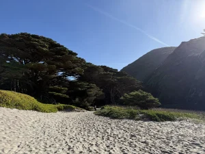 Dog-friendly Big Sur: what’s allowed and what’s not