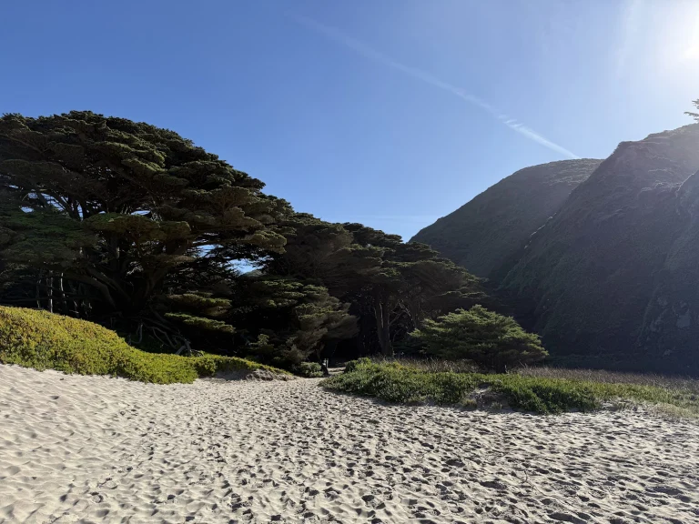 Pfeiffer Beach Google Places photo