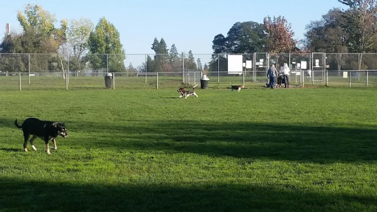 Phoenix Dog Park