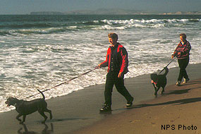 Dog walkers, Point Reyes National Seashore