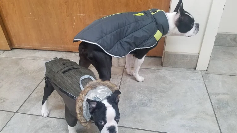 Pine Creek Veterinary Clinic