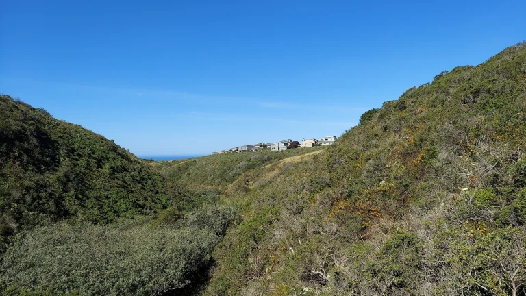Pinnacle Gulch Coastal Access