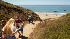 sandy trail to beach with crowd of people