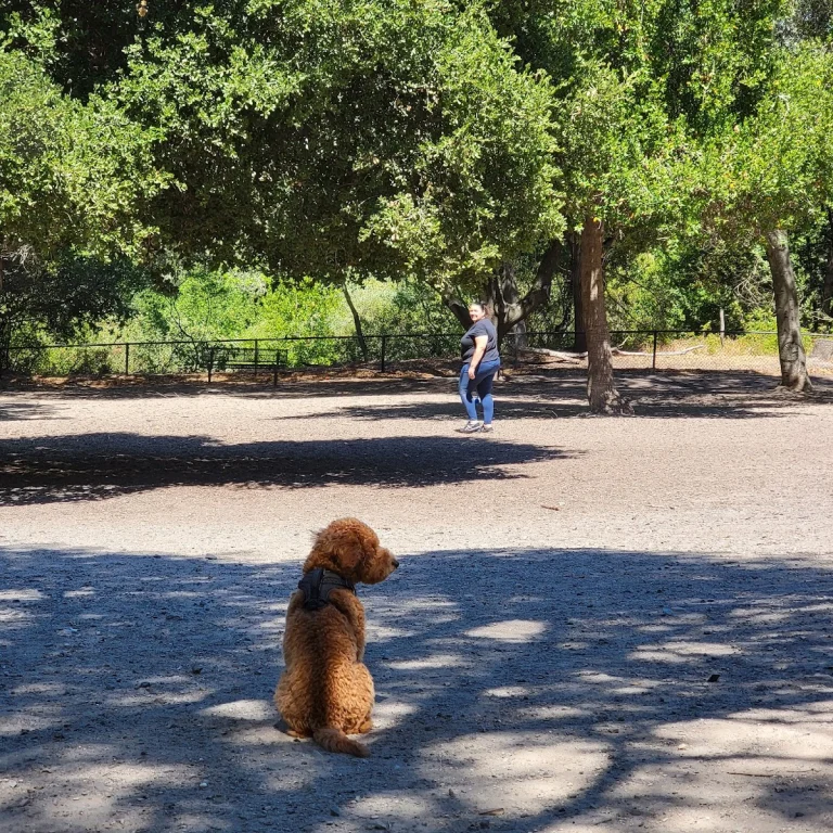 Pinole Dog Park