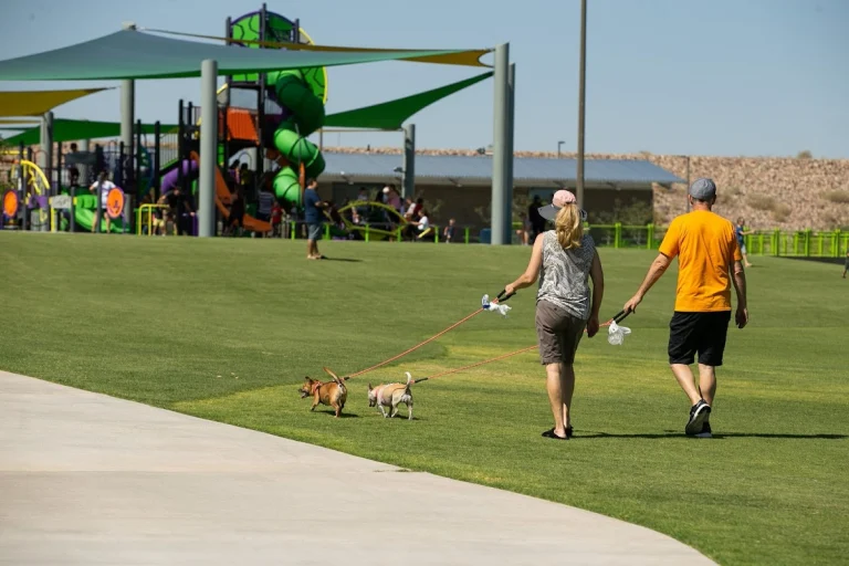Pioneer Park Dog Park