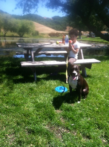 Picnic by the pond at Marin French Cheese Company