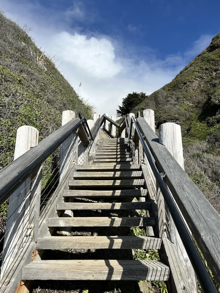 Plaskett Creek Campground, a dog-friendly campground in Big Sur, California