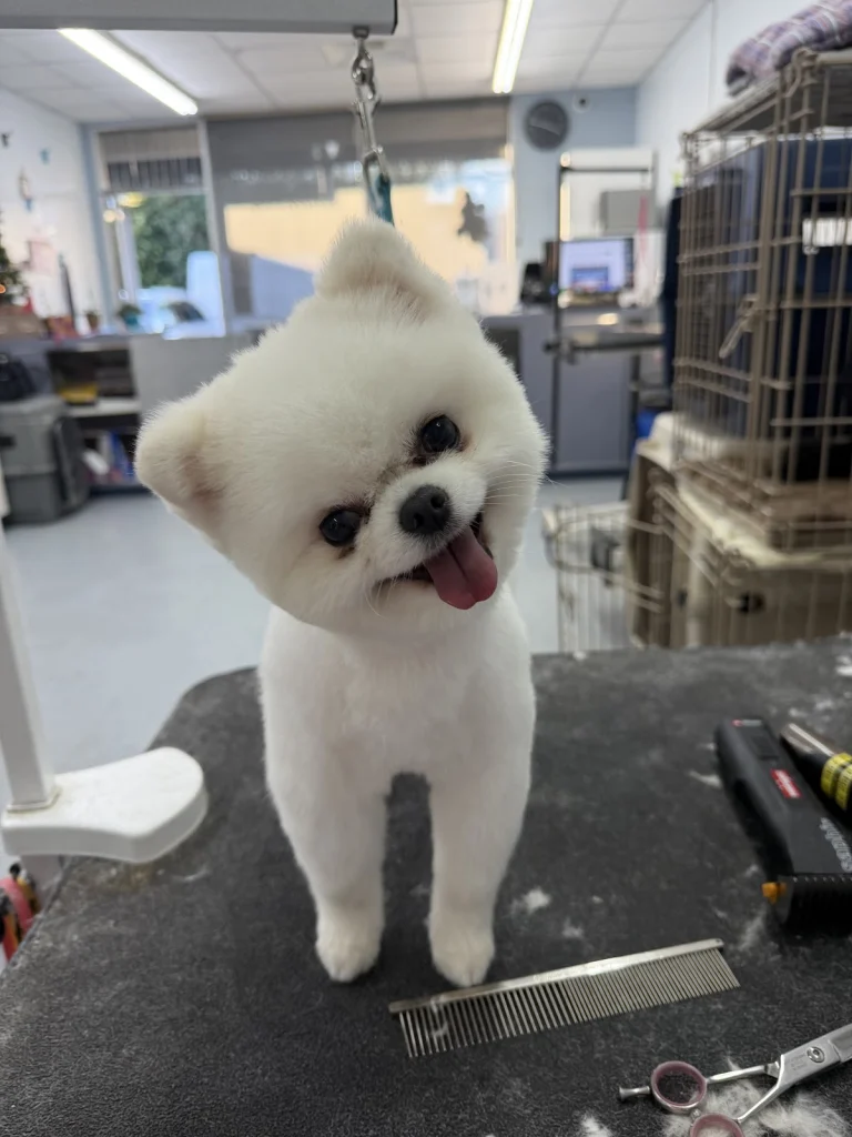 Pleasant Oaks Pet Grooming