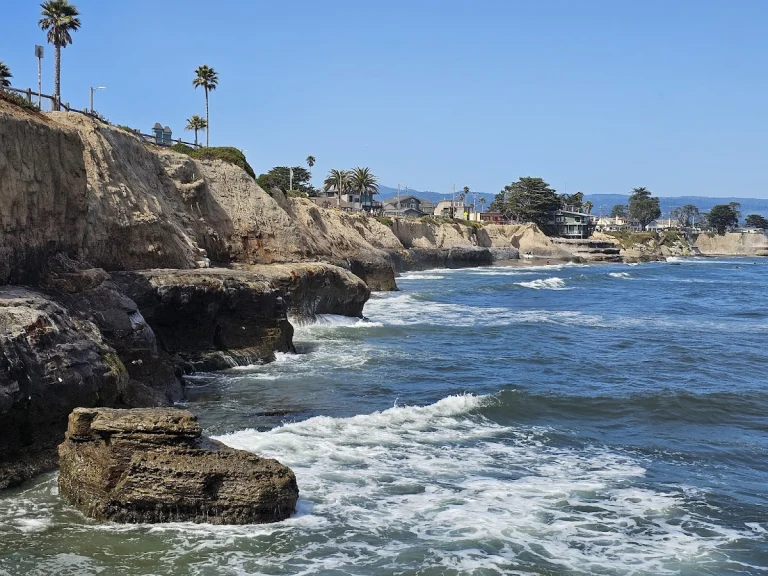 Pleasure Point Beach, a dog-friendly beach in Santa Cruz, California