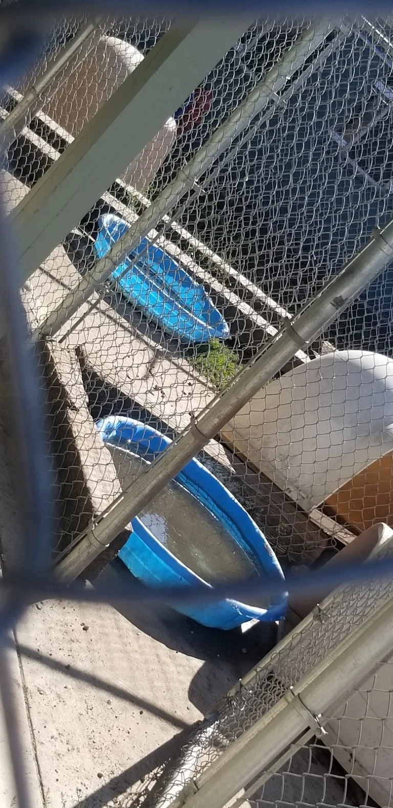Plumas County Animal Services, Quincy