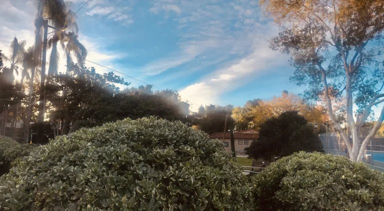 Plummer Park Google Places photo