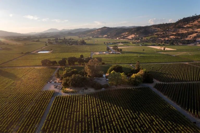 PlumpJack Winery