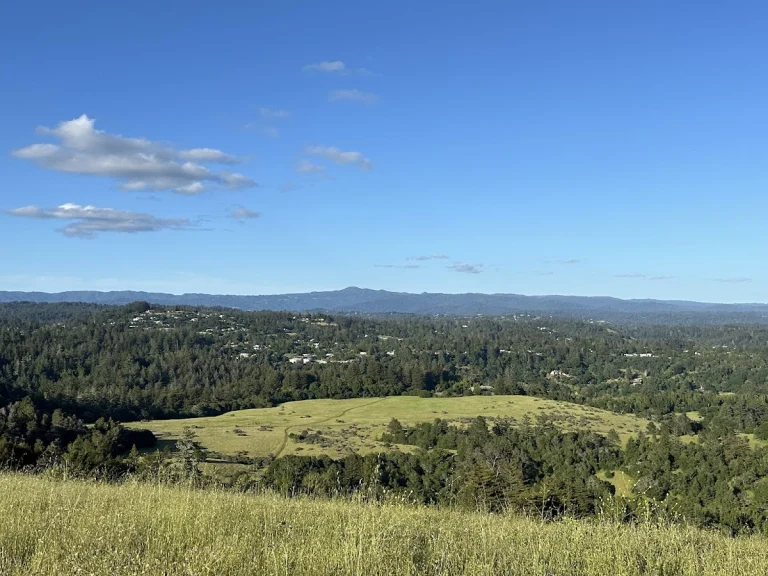 Pogonip Trail, a dog-friendly hiking trail in Santa Cruz, California