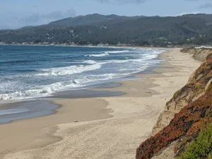 Poplar Beach, a dog-friendly beach in Half Moon Bay, California