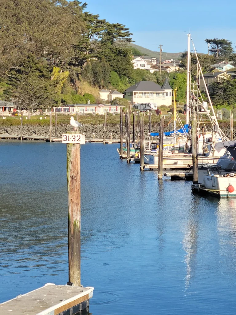Porto Bodega Marina & RV Park