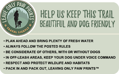 Leave Only Paw Prints