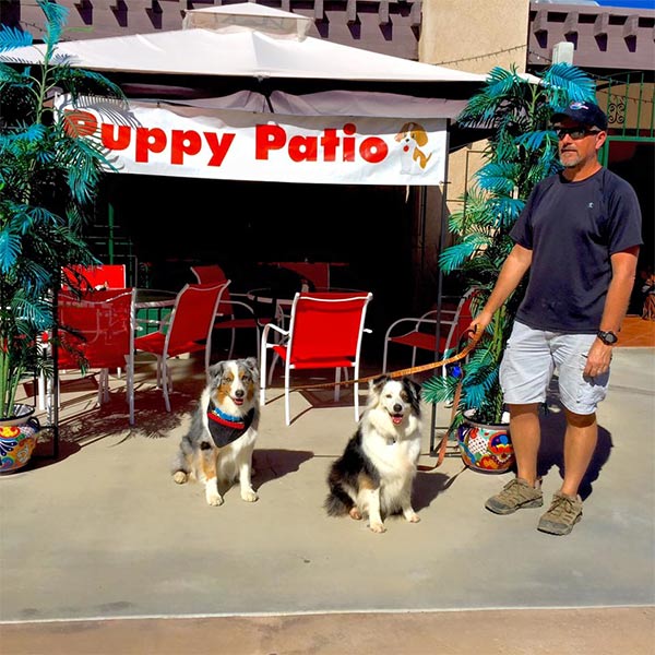 Puppy Patio at Pablito's