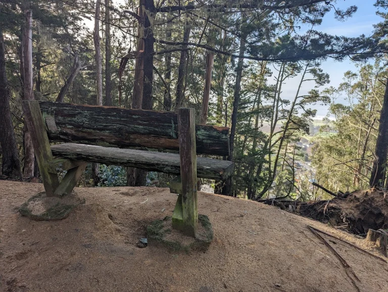 Quarry Park, a dog-friendly park in El Granada, California