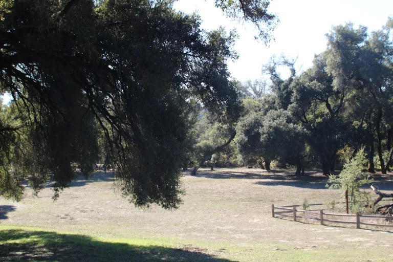 Ragle Ranch Regional Park, a dog-friendly hiking trail in Sebastopol, California
