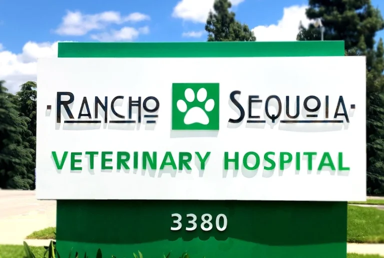 Rancho Sequoia, a dog-friendly veterinary clinic in Simi Valley, California