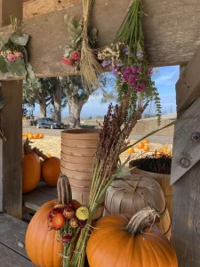 Rancho Siempre Verde Christmas Google Places photo