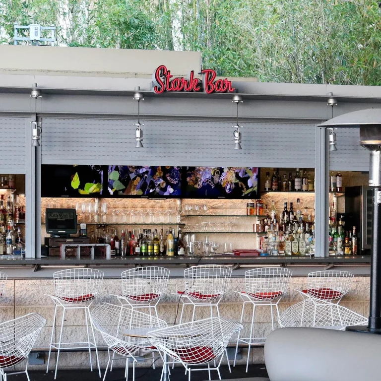 Ray's and Stark Bar, Los Angeles