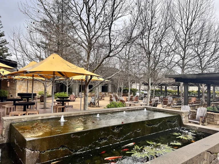 R+D Kitchen, a dog-friendly restaurant in Yountville, California