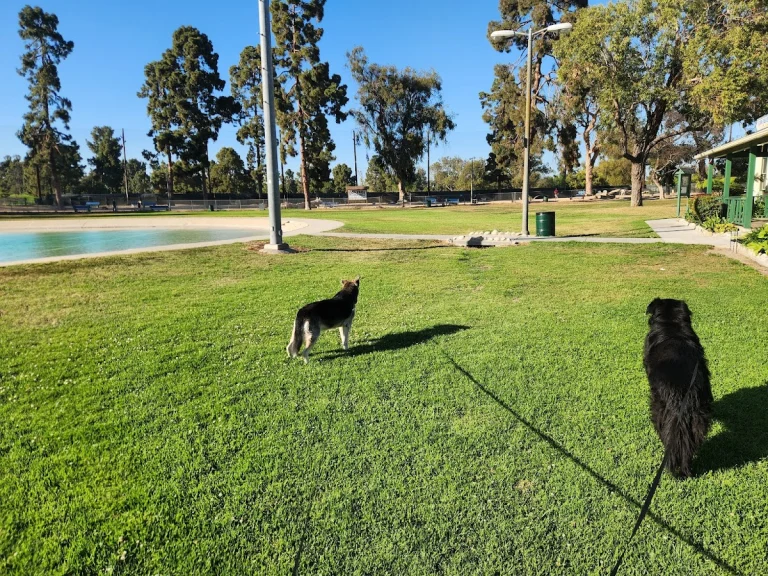 Recreation Dog Park