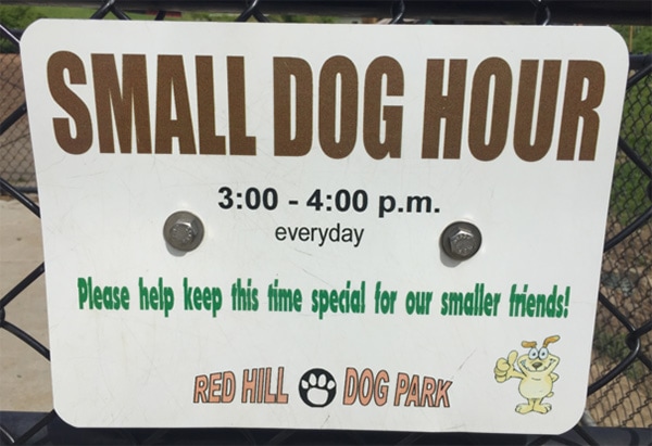 Red Hill Dog Park Small Dog Hour