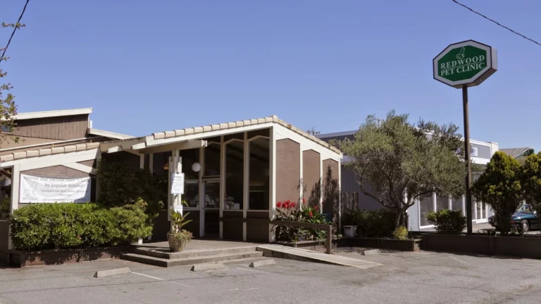 Redwood Pet Clinic, a dog-friendly local service in Greenbrae, California