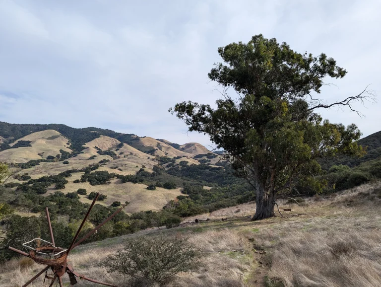 Reservoir Canyon Open Space Google Places photo