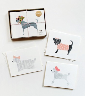 Pack of Assorted Dog Cards
