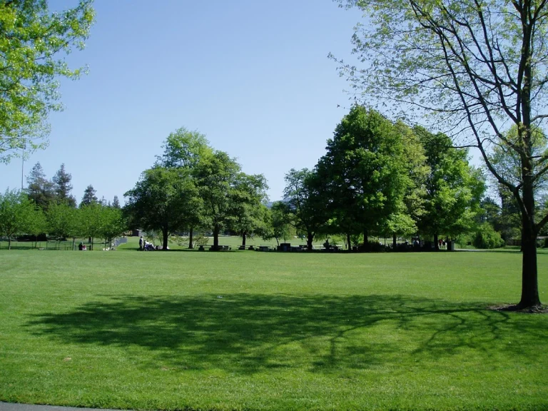 Rincon Valley dog park