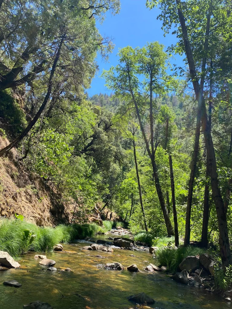 River Ranch Campground Google Places photo